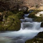 Mostnica-1-2_1600x1067