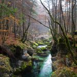 Mostnica-1-4_1600x1067