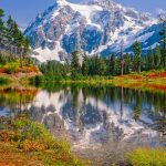 magazine-unlock-05-2.3.1159-_EA4E8DCAE0E9372F2CB49EA2EE48FFA9